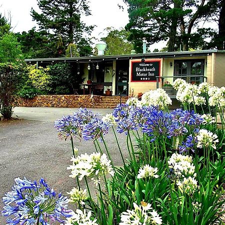 Blackheath Motor Inn מראה חיצוני תמונה