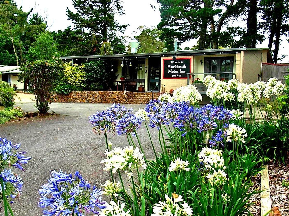 Blackheath Motor Inn מראה חיצוני תמונה